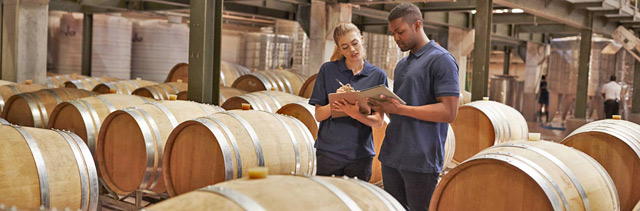 Woman and man in barrel room studying pad with information.