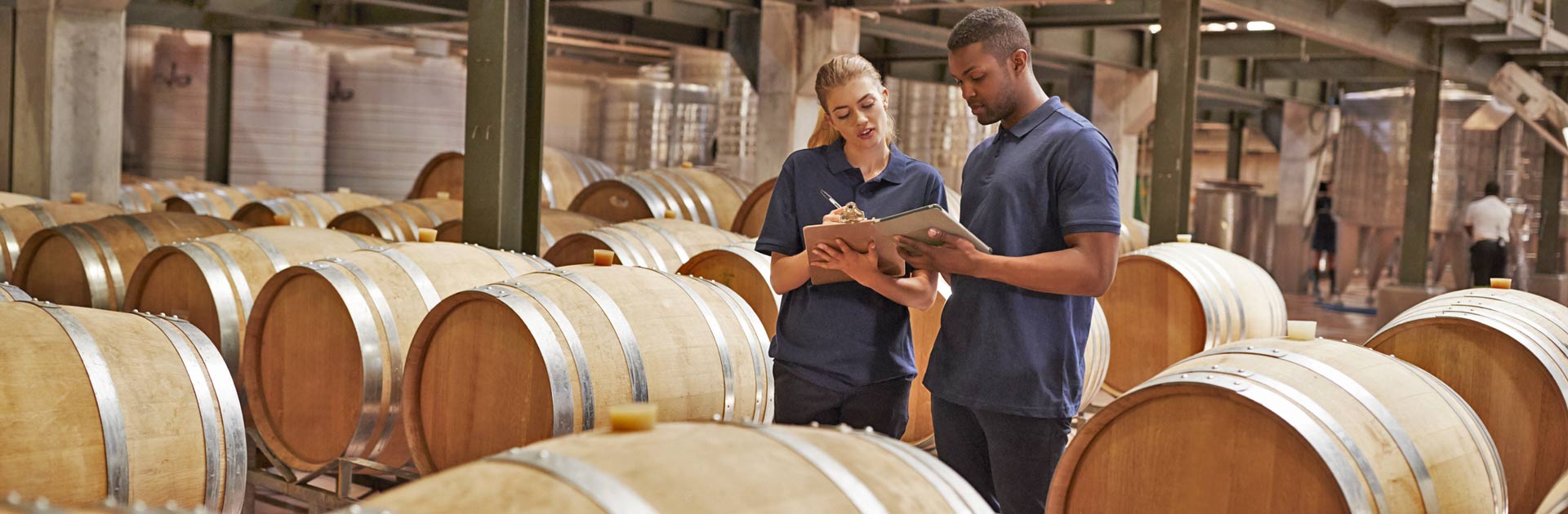 Woman and man in barrel room studying pad with information.